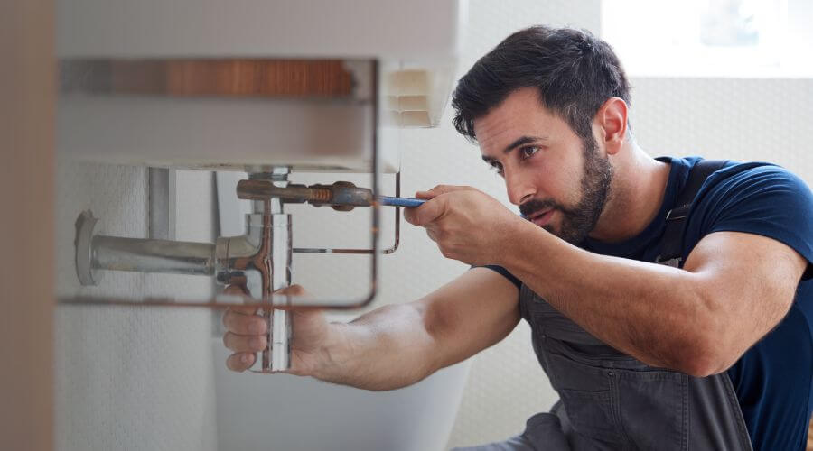 Trap Repair/Replacement in Marcellus, MI